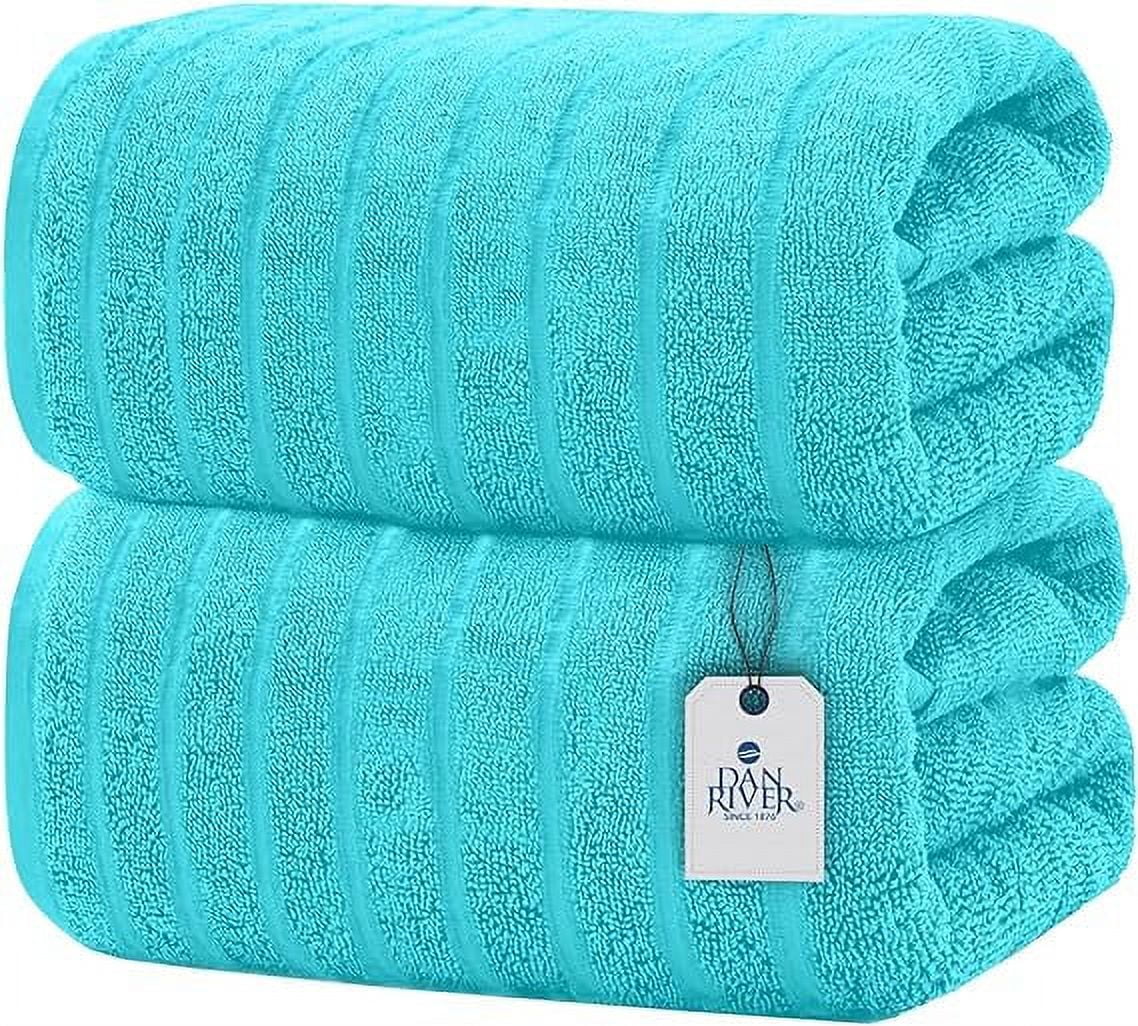 Home Essence 800gsm 100% Cotton Bath Sheet Antimicrobial 2 Piece Set, Aqua,  34x68