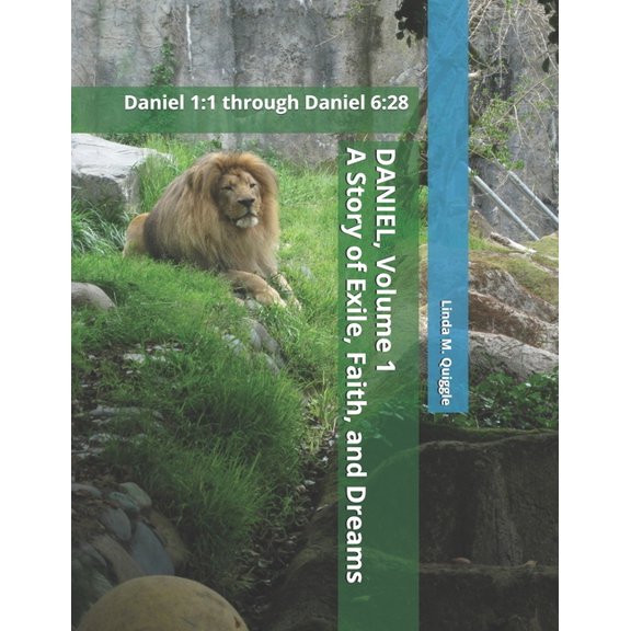 DANIEL. A Story of Exile, Faith, and Dreams.: Volume One: Daniel 1:1 through Daniel 6:28, (Paperback)