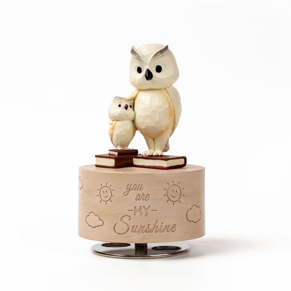 DANVON Owl Music Box Figurine, Sculpted Hand-Painted Musical Figure Gifts, for Birthday Mothers Day Anniversary, Play You are My Sunshine Y101