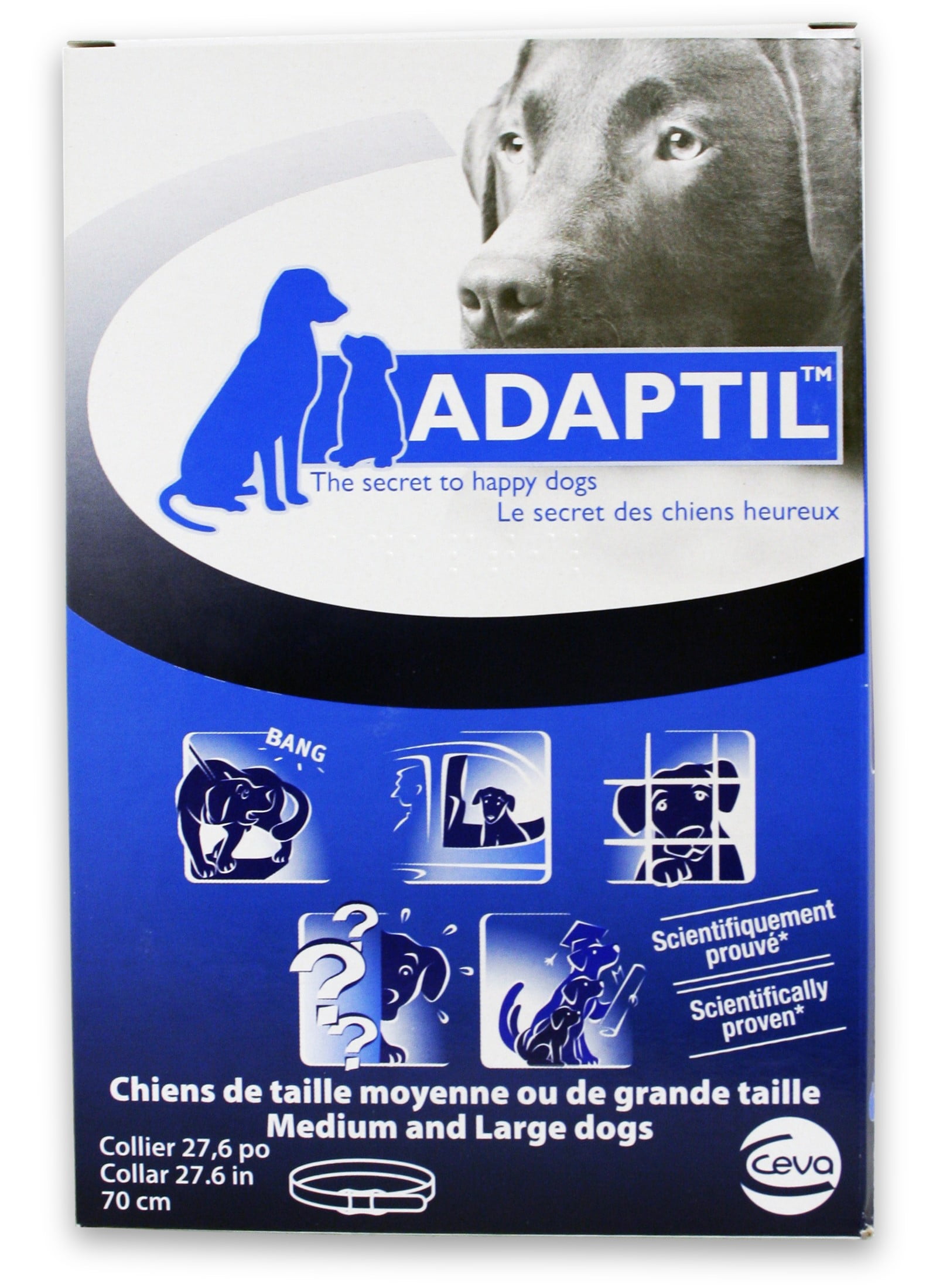 Dap collar hotsell