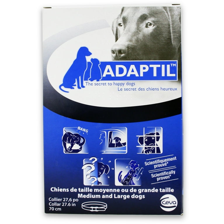 Dap for dogs outlet