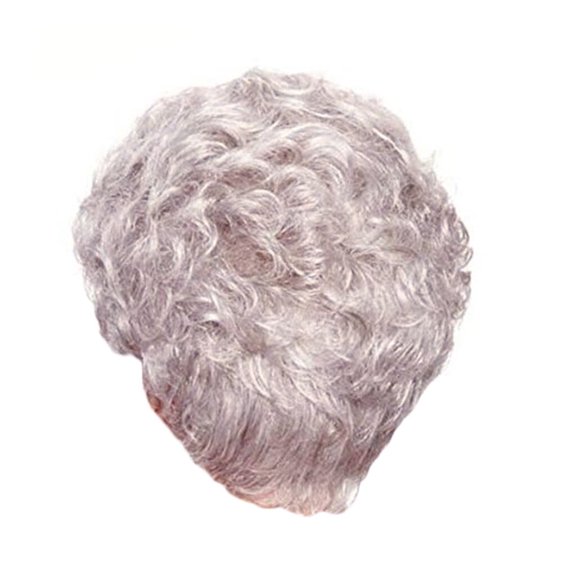 DAPRZIY Wig Hairshort Wave Wigs SilverSynthetic hair Pro