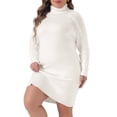thumbnail image 1 of DARING DIVA Plus Size Long Sleeve Turtleneck Warm Pullover Mini Dress 4X White, 1 of 6