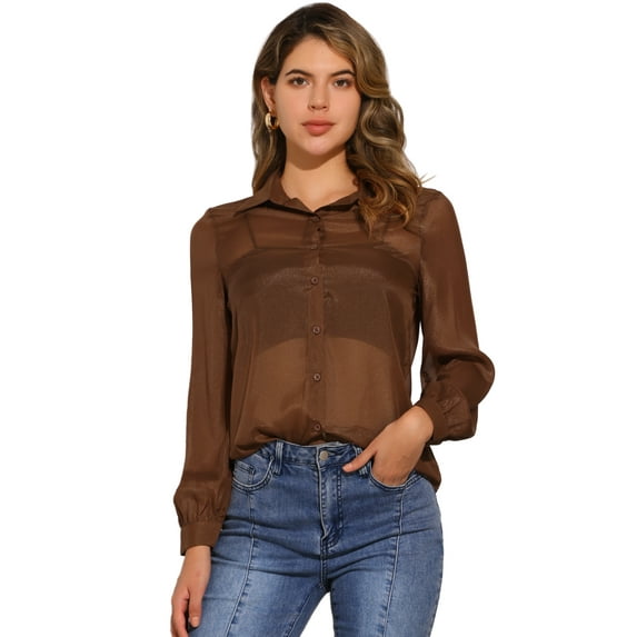 DARING DIVA Women's Mesh Sheer Tops Point Collar Button Down Shirt XL Brown