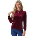 thumbnail image 1 of DARING DIVA Women's Stand Collar Elegant Velvet Long Sleeve Tops XS Burgundy, 1 of 6
