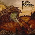 thumbnail image 1 of DARK FOREST, 1 of 1