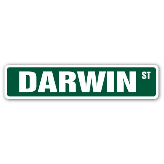DARWIN Street Sign Childrens Name Room Sign | Indoor/Outdoor | 30" Wide
