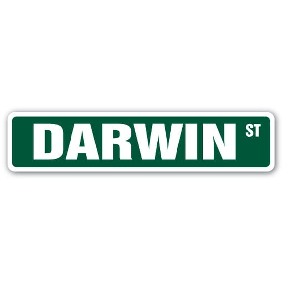 DARWIN Street Sign Childrens Name Room Sign | Indoor/Outdoor |  36" Wide