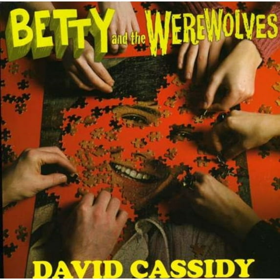 DAVID CASSIDY/PLASTIC