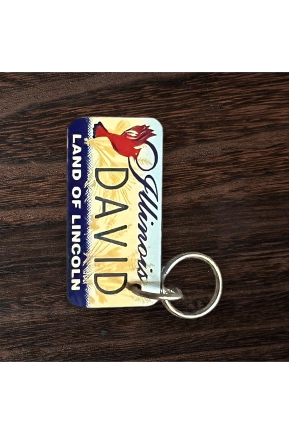 DAVID Name Keychain License Plate Illinois Land of Lincoln Great Gift 2 New