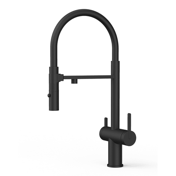 DAX Brass Dual Function Pull Out and Filter Water Spout, Matte Black