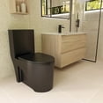 thumbnail image 1 of DAX Siphonic One-Piece Toilet with S-Trap 300MM, Matte Black, 1 of 6