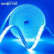 DAYBETTER 16.4ft Blue LED Neon Rope Lights, 24v Low Voltage and IP65 Waterproof Flexible Strip Lights for Indoor Outdoor Home Decor?Include Power Adapter?