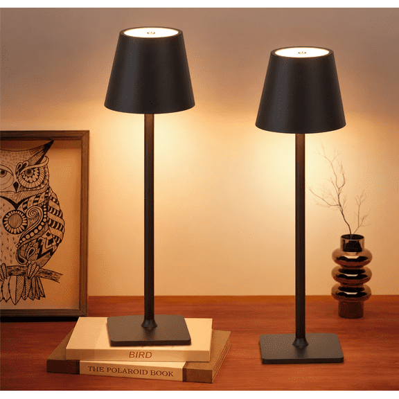 DAYBETTER 2 Pack Rechargeable LED Table Lamp, Touch Control Cordless Desk Lamp with 3 Color Modes & Stepless Dimming, Decorative Night Light for Bedroom, Reading, Office (Black)