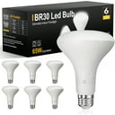 Flood/Can LED Light Bulbs (BR30/E26)