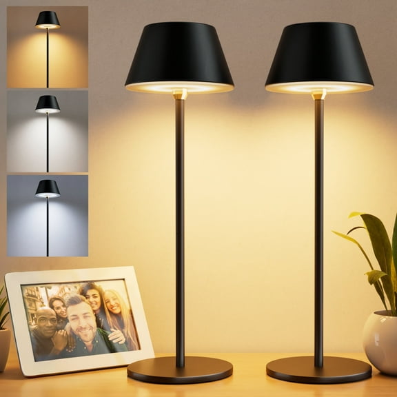 DAYBETTER Cordless Table Lamp, 2Pack Portable Desk Lamp, Battery Rechargeable, 3 Colors Stepless Dimming, for Home, Bedroom, Restaurant, Dining Kitchen, Outdoor Party