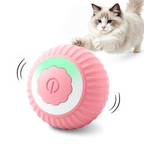 DAYBETTER Interactive Cat Ball Toy for Indoor Cats, Automatic Rolling & USB Rechargeable with LED Light, Pink