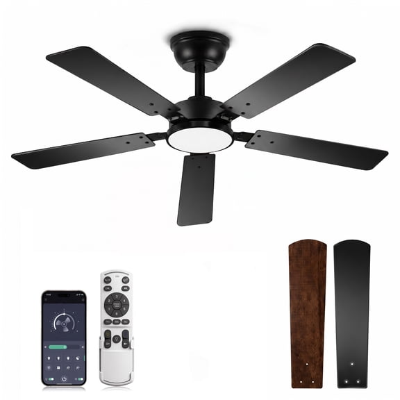 DAYBETTER 52 Inch Ceiling Fan with Lights, 6-Speed Quiet Reversible DC Motor, Stepless Dimmable LED , Remote & Bluetooth APP Control, 1/4/8H Timer, Black Modern Fan for Bedroom Living Room Indoor