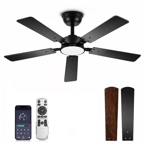 DAYBETTER 52 Inch Ceiling Fan with Lights, 6-Speed Quiet Reversible DC Motor, Stepless Dimmable LED , Remote & Bluetooth APP Control, 1/4/8H Timer, Black Modern Fan for Bedroom Living Room Indoor