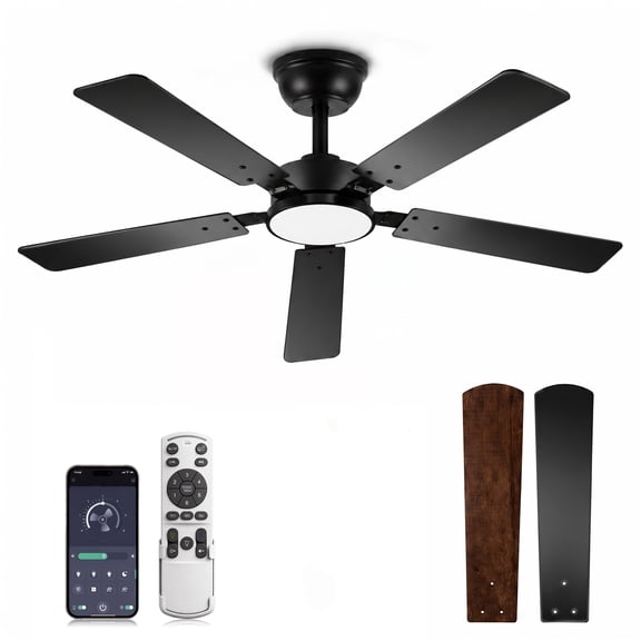 DAYBETTER 52 Inch Ceiling Fan with Lights, 6-Speed Quiet Reversible DC Motor, Stepless Dimmable LED , Remote & Bluetooth APP Control, 1/4/8H Timer, Black Modern Fan for Bedroom Living Room Indoor