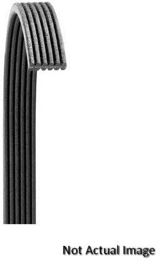 DAYCO BELTS/HOSES - POLY RIB BELT