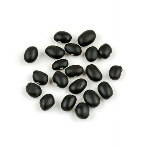 DAllesandro Black Beans - 25 lbs Bag
