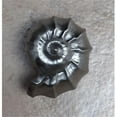 thumbnail image 1 of DArtefax DHK20-BRZ Nautilus Shell Knob- Antique Bronze, 1 of 1