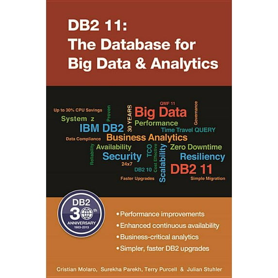 DB2 11 : The Database for Big Data & Analytics (Paperback)