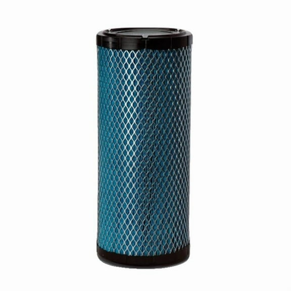 Donaldson DBA5225 EAF5225 Air Filter