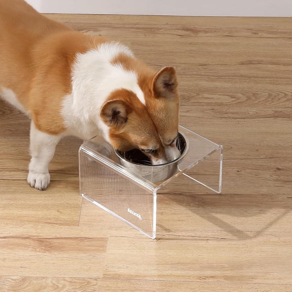 DBL2002A Keaton 5" Small/Medium Modern Acrylic Rectangular Elevated Pet Feeder with 20oz 1-Stainless Steel Bowl, Clear/Chrome