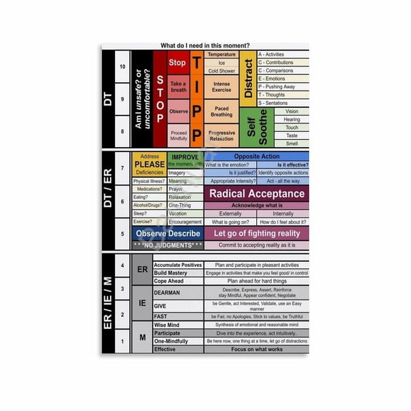 DBT Cheat Sheet Poster Mindfulness Technique Wall Art (5) Canvas for Living Room Bedroom Decor poster