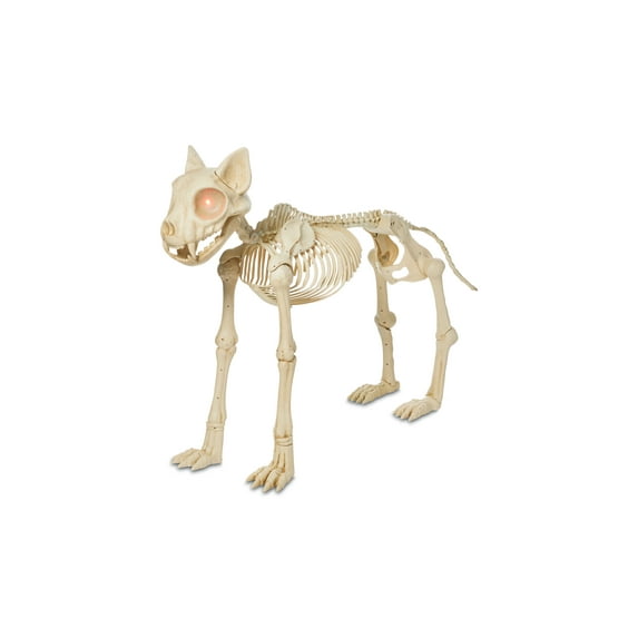 Animated Skeleton Cat with Light Up Eyes, 4ft Height, Halloween by Way To Celebrate