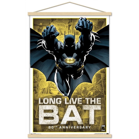 DC Comics - Batman - 80th Anniversary Wall Poster with Magnetic Frame, 22.375" x 34"