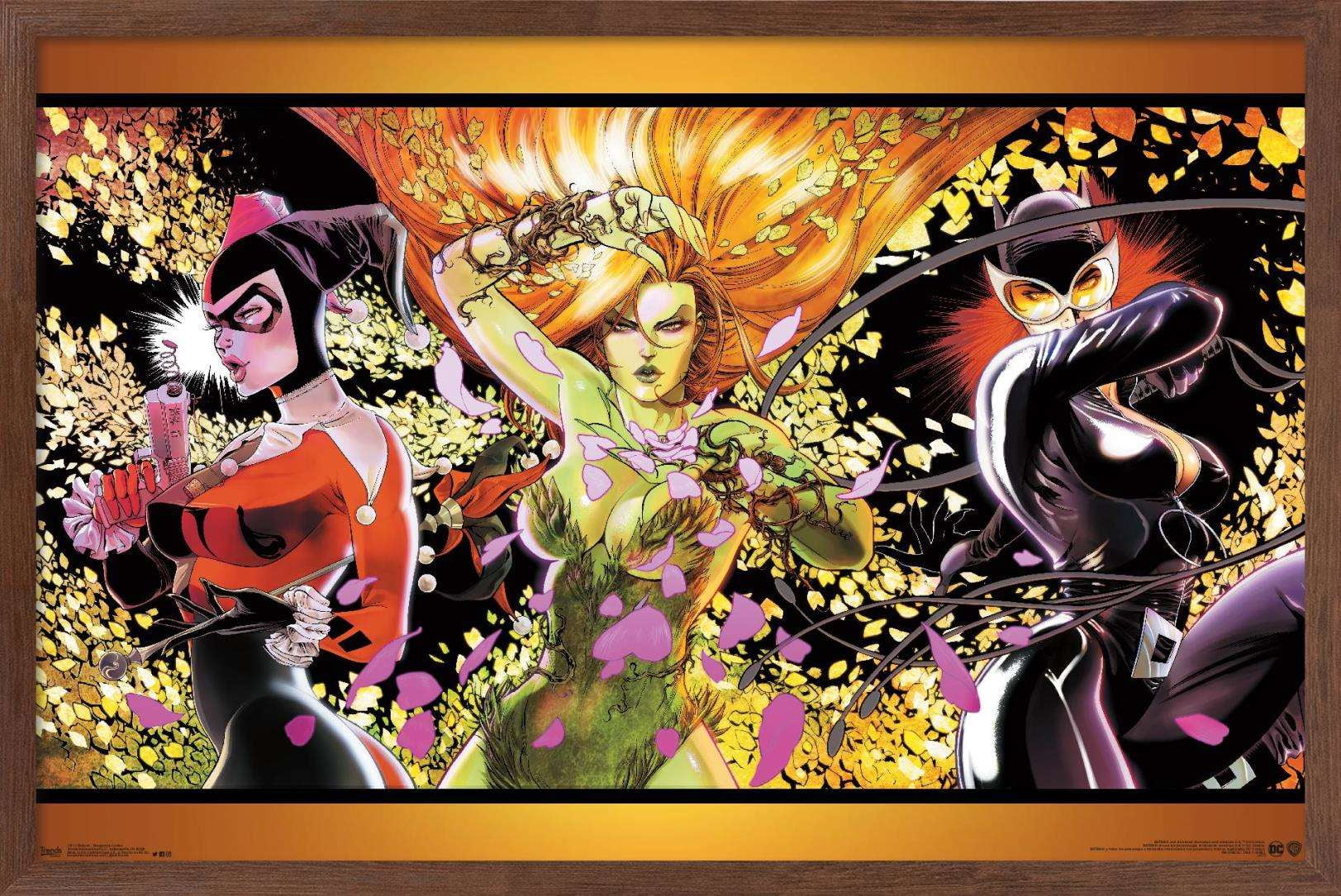 DC Comics - Batman - Dangerous Ladies Wall Poster, 14.725" x 22.375", Framed