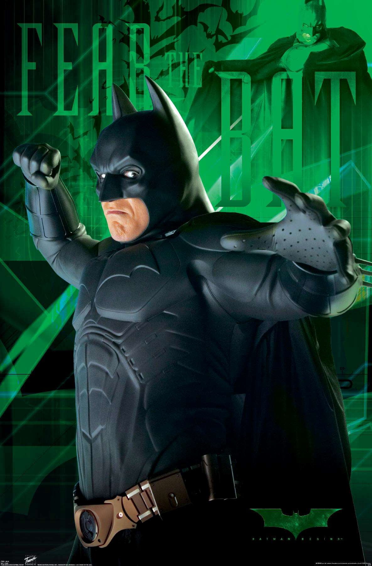 DC Comics - Batman - Fear Wall Poster, 14.725