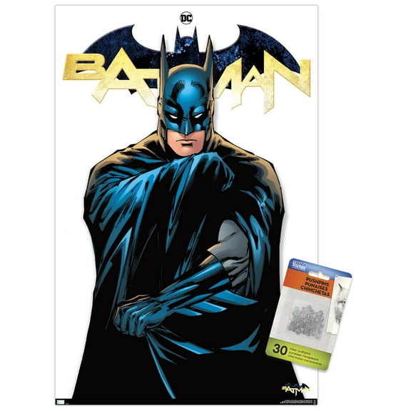 DC Comics - Batman Feature Series Wall Poster with Push Pins, 14.725" x 22.375"