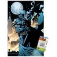 thumbnail image 1 of DC Comics Batman - Kissing Catwoman Wall Poster with Push Pins, 14.725" x 22.375", 1 of 4