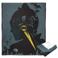 thumbnail image 1 of DC Comics Batman The Bat And The Cat Kids Silk Touch Throw Blanket, 1 of 5