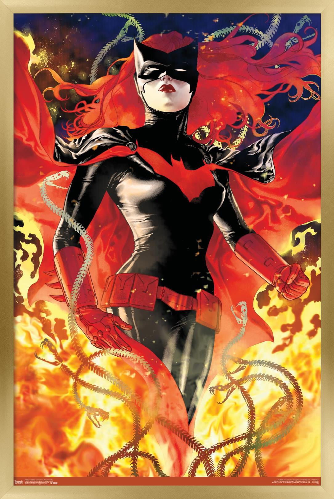 DC Comics - Batwoman - Batwoman #17 Wall Poster, 14.725" x 22.375", Framed