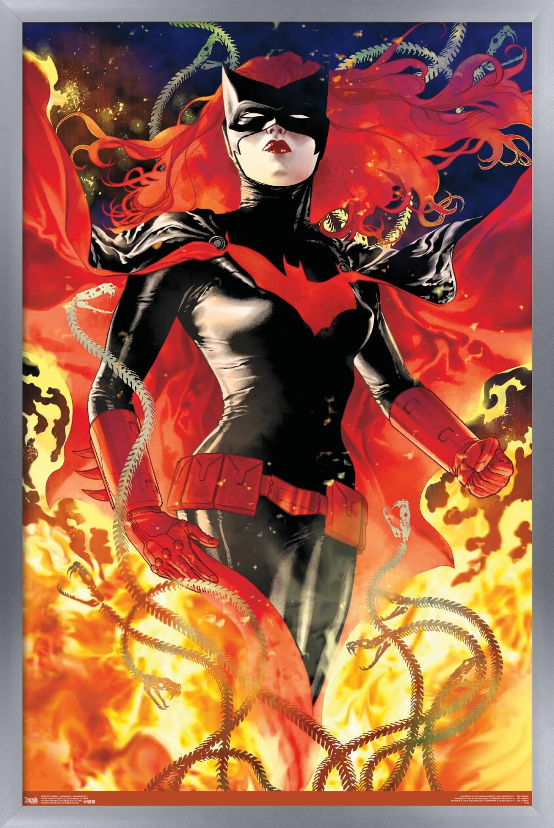 DC Comics - Batwoman - Batwoman #17 Wall Poster, 22.375