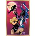 thumbnail image 1 of DC Comics - Birds of Prey - Birds of Prey #92 Wall Poster, 14.725" x 22.375", Framed, 1 of 6