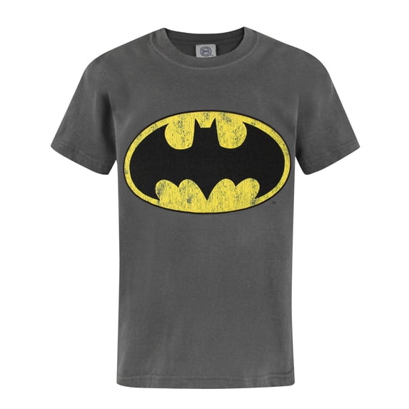 DC Comics Boys Grey Short Sleeved T-Shirt