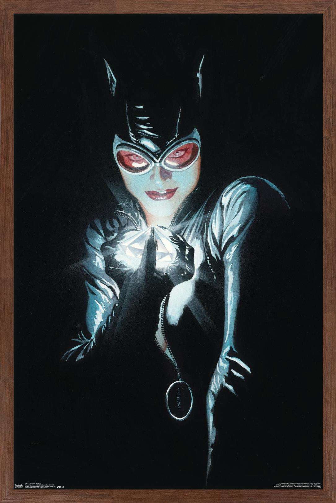 DC Comics - Catwoman - Portrait Wall Poster, 14.725" x 22.375", Framed