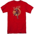 thumbnail image 1 of DC Comics Flash Circle & Stars S/S Adult Tall, 1 of 1