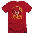 thumbnail image 1 of DC Comics Flash Flash Circle S/S Adult 30/1 T-Shirt, 1 of 1