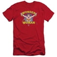 thumbnail image 1 of DC Comics Flying Through S/S Adult 30/1 T-Shirt, 1 of 1