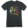 thumbnail image 1 of DC Comics Gl Vs Sinestro S/S Adult 30/1 T-Shirt Charcoal, 1 of 1