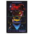 thumbnail image 1 of DC Comics Gotham Knights - Chest Emblems Wall Poster, 14.725" x 22.375" Framed, 1 of 6