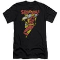 thumbnail image 1 of DC Comics In Bolt Premium Canvas Adult Slim Fit 30/1 T-Shirt Black, 1 of 1