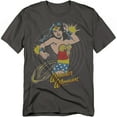 thumbnail image 1 of DC Comics T-Shirt Spinning Unisex Graphic Tee For Men & Women Charcoal, 1 of 7
